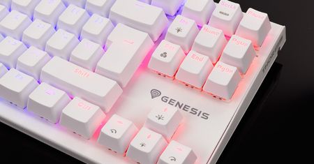 Wygląda nieźle i jest całkiem tania. Ale czy warto ją kupić? Test Genesis Thor 303 TKL
