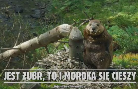 "Mordka się cieszy" w nowej reklamie Żubra