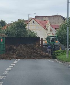 Tony obornika na ulicy. Rolnik ukarany mandatem