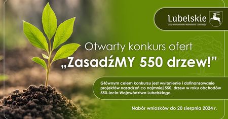 Województwo lubelskie sadzi drzewa. Konkurs na 550 nowych nasadzeń
