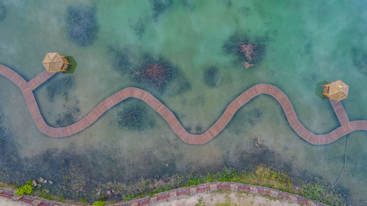 Tak wygląda zalew w Parku Gródek w Jaworznie.