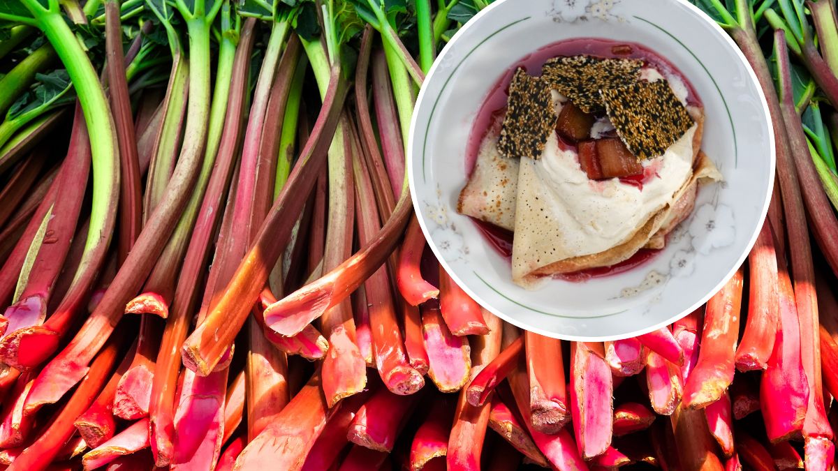 Szef kuchni BAKEN zamienia rabarbar w pyszny deser z naleśnikami