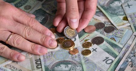 96 mln zł aktywów w OIPE. Tak Polacy korzystają z nowego sposobu oszczędzania na emeryturę