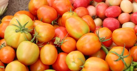 Najzdrowsza odmiana pomidorów. Czyści jelita jak szczoteczka, wzmacnia naturalną odporność