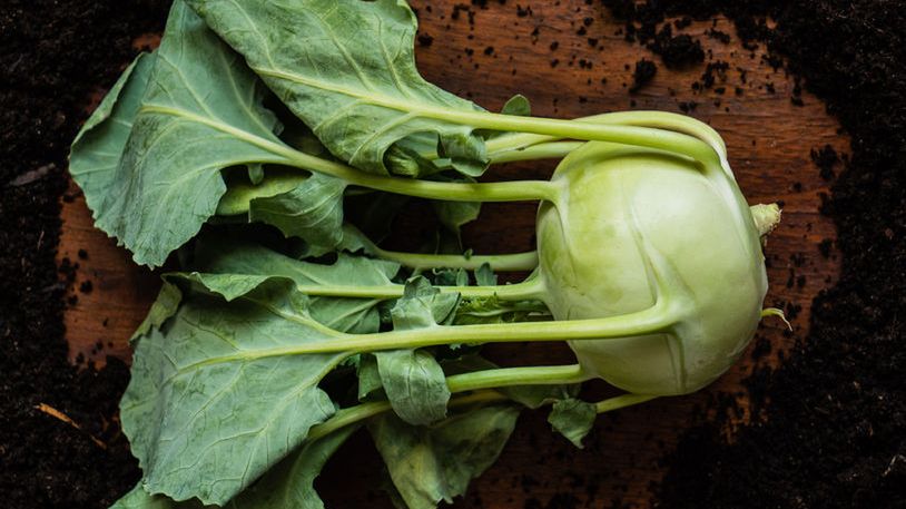 Liście kalarepy powinny jeść osoby z niedoborem żelaza.