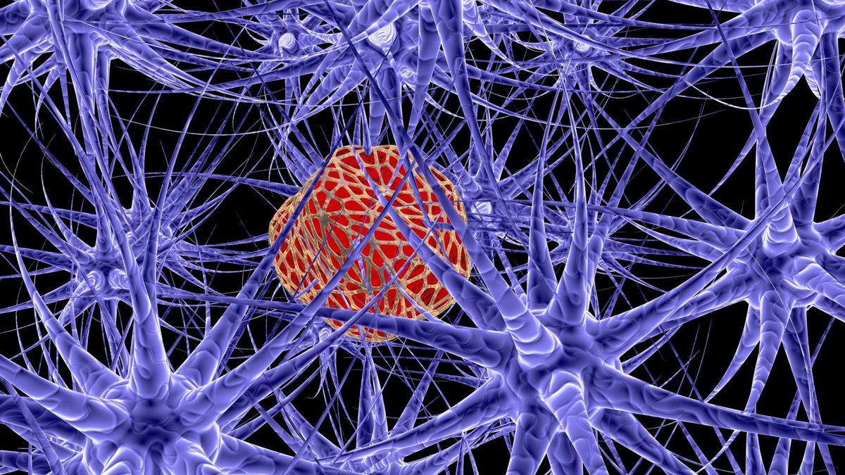 Bakterie w organizmie są bardzo potrzebne
