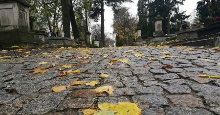 Lublin. Zwabili 15-latkę na cmentarz przy ul. Lipowej i się nad nią znęcali. Zniszczyli nagrobki