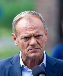 Tusk i Czarnek w sądzie w sprawie HiT-u. Lider PO: Bardzo się cieszę