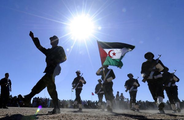 Dramatyczny los Sahary Zachodniej pod marokańskim butem