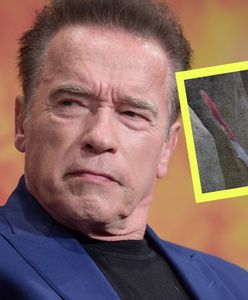 Będzie kolejny "Conan"? Arnold Schwarzenegger zabrał publicznie głos