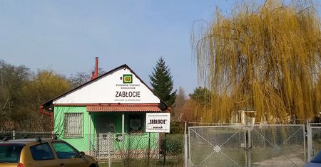Wrocław. RODOS jedyną formą wakacji w tym roku. Boom na ogrody działkowe