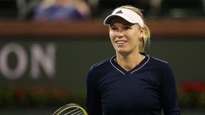 WTA Charleston: pierwszy finał Woźniackiej w 2019 roku. Keys zatrzymała Puig
