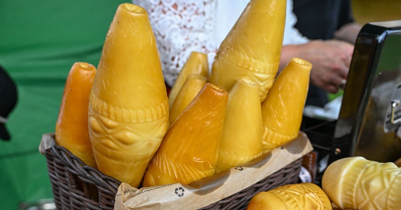 Smaki Małopolski. Zanim wynaleźli burgera, Kraków miał maczankę