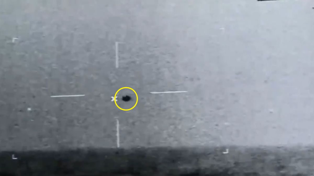 Ekspert uważa, że obcy istnieją i umieją znikać w wodzie. Widać to na filmie 1