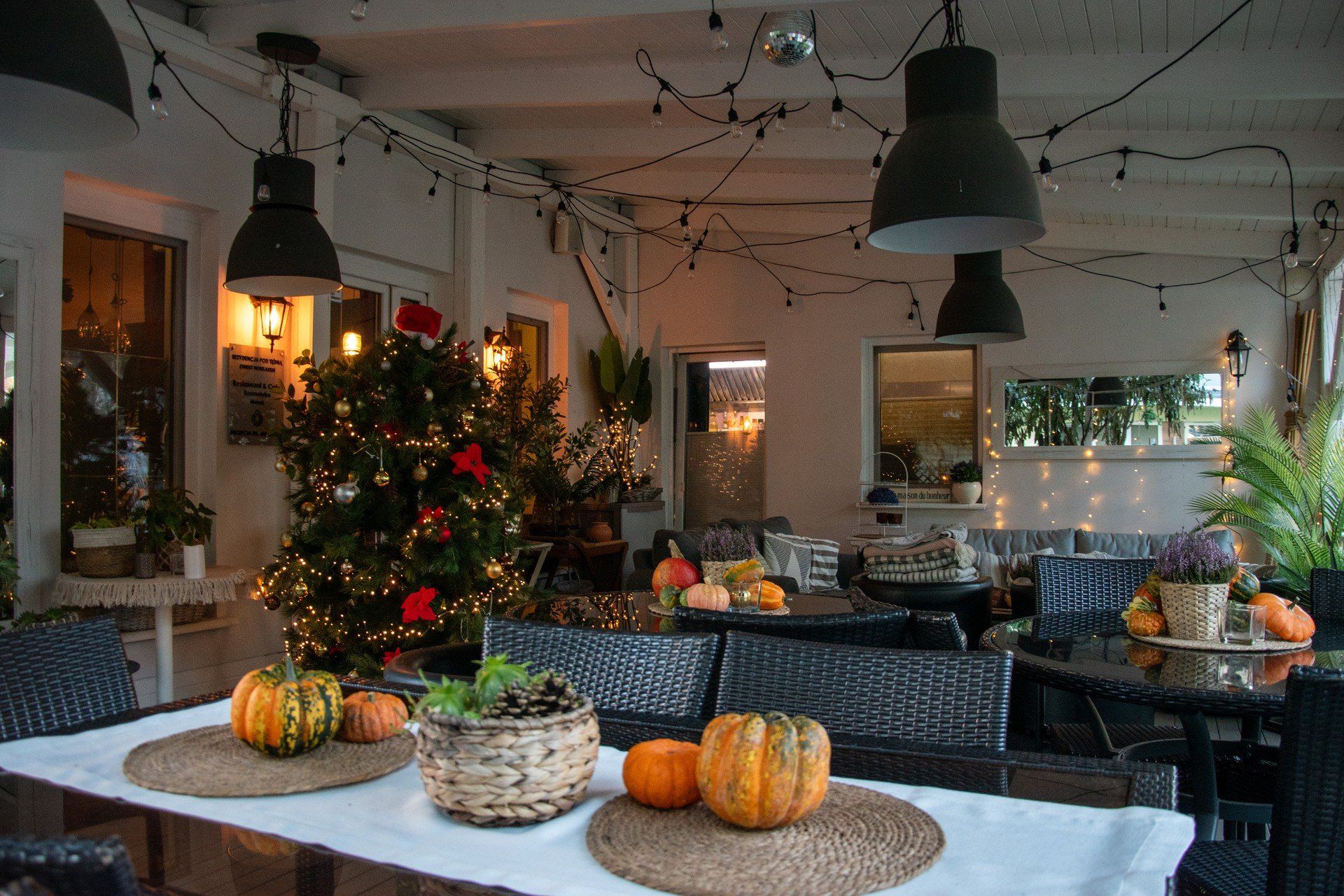 Park Solankowy w listopadzie