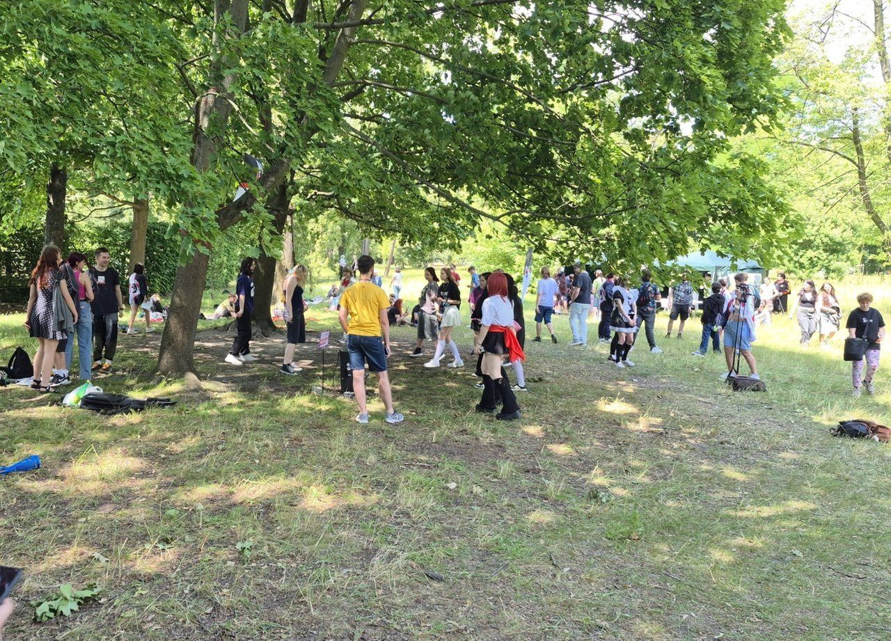 Łódzki Piknik Mangowy