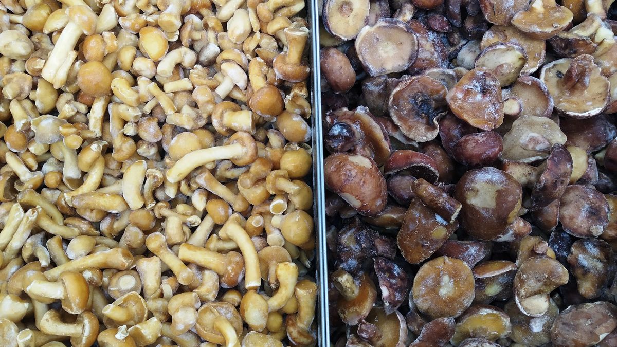 Mrożone grzyby wykorzystasz zimą