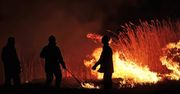 Pożar w Biebrzańskim Parku Narodowym. Z ogniem walczy prawie 100 strażaków