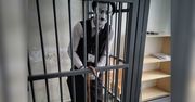 Zawiercie: Mim w rękach policji. Był poszukiwany