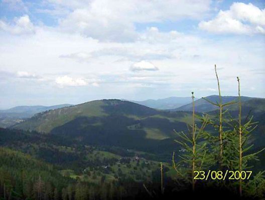 Obraz