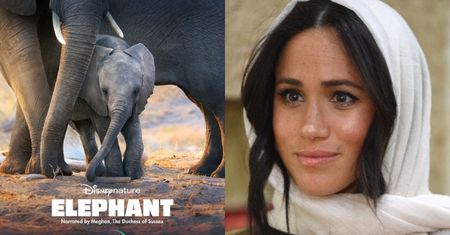 Krytycy oceniają lektorski talent Meghan Markle w filmie Disneya: "Ckliwy i kompletnie niedostosowany do emocji ukazanych na ekranie głos"