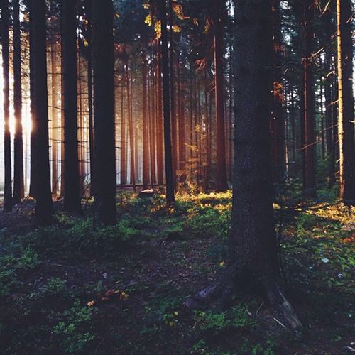 Fotograficzne inspiracje z Instagrama [cz. 2] 23