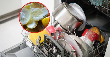 Wrzuć ją do zmywarki. Pożałujesz, że nie odkryłeś tego wcześniej