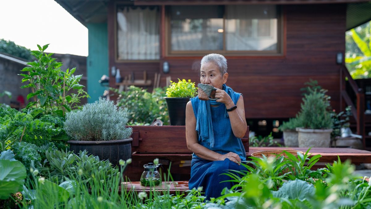 Jak przygotować napar stulatków?