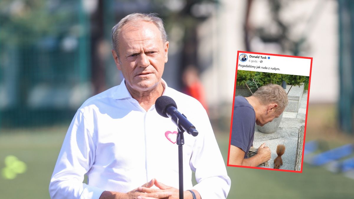 Donald Tusk pochwalił się dystansem. Wstawił do sieci zdjęcie z wiewiórką 