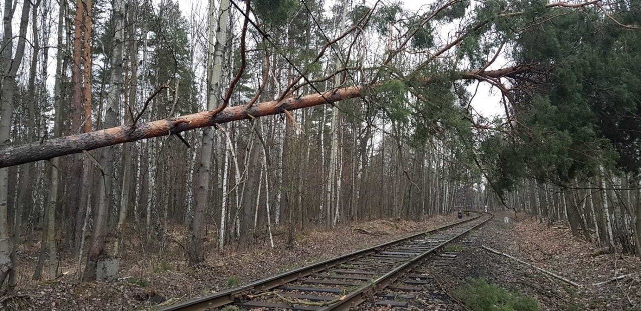Przewrócone drzewo na torach. Pociągi miały wielkie opóźnienia