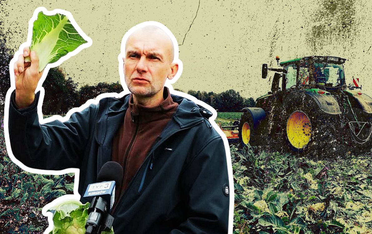 Rozjechał traktorem 25 tys. kalafiorów. Padło ostrzeżenie dla konsumentów