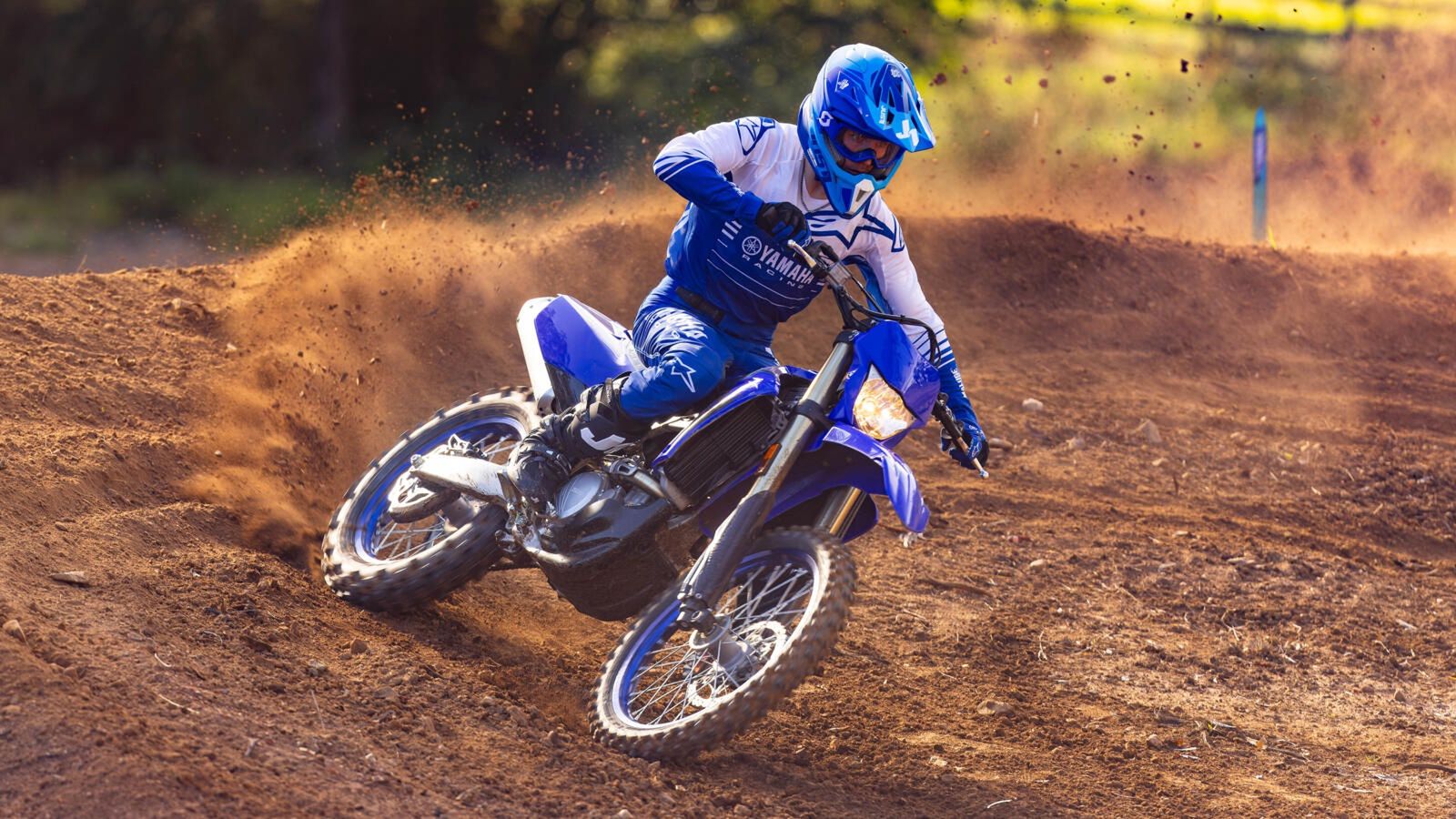 Yamaha WR450F