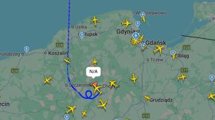 Niespodziewany gość. Wleciał nad Polskę od północy