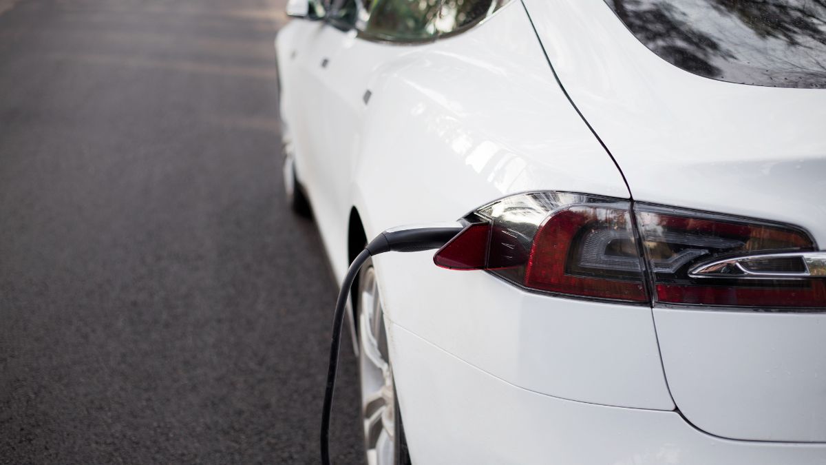 Tesla zdominowała rynek elektryków w Polsce