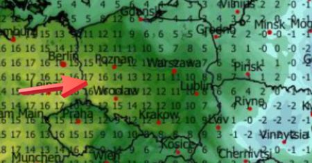 Zrobi się wiosennie. Dwucyfrowe temperatury wracają