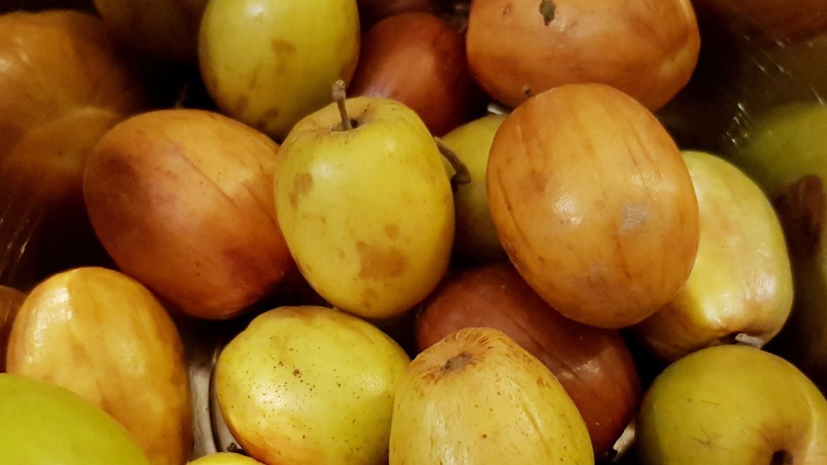 Jujuba – owoc, który zmienia się wraz z dojrzewaniem