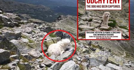 Błąkał się w Tatrach. Wreszcie dobre wieści. "Udało się"
