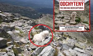 Błąkał się w Tatrach. Wreszcie dobre wieści. "Udało się"