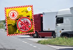 100 tys. kg spleśniałych truskawek. Odrażające odkrycie