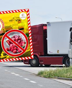 100 tys. kg spleśniałych truskawek. Odrażające odkrycie