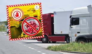 100 tys. kg spleśniałych truskawek. Odrażające odkrycie