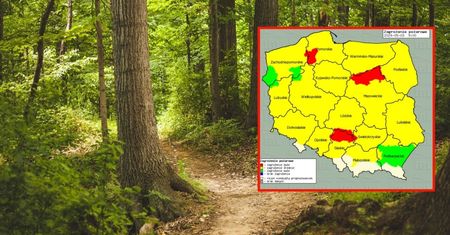 Wysoki stan zagrożenia pożarowego w polskich lasach