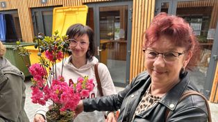 Biecz nagradza za segregację śmieci. Sadzonki kwiatów i owocowych krzewów dla mieszkańców