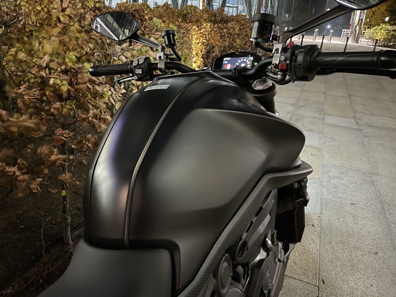 Ducati Monster