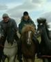 "O koniach i ludziach": Koń jaki jest, każdy widzi [RECENZJA]
