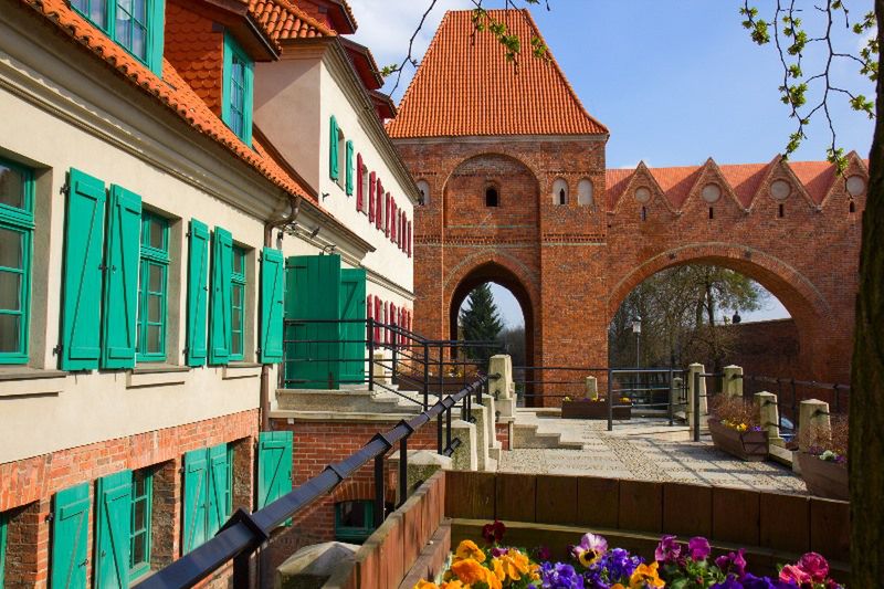Obraz