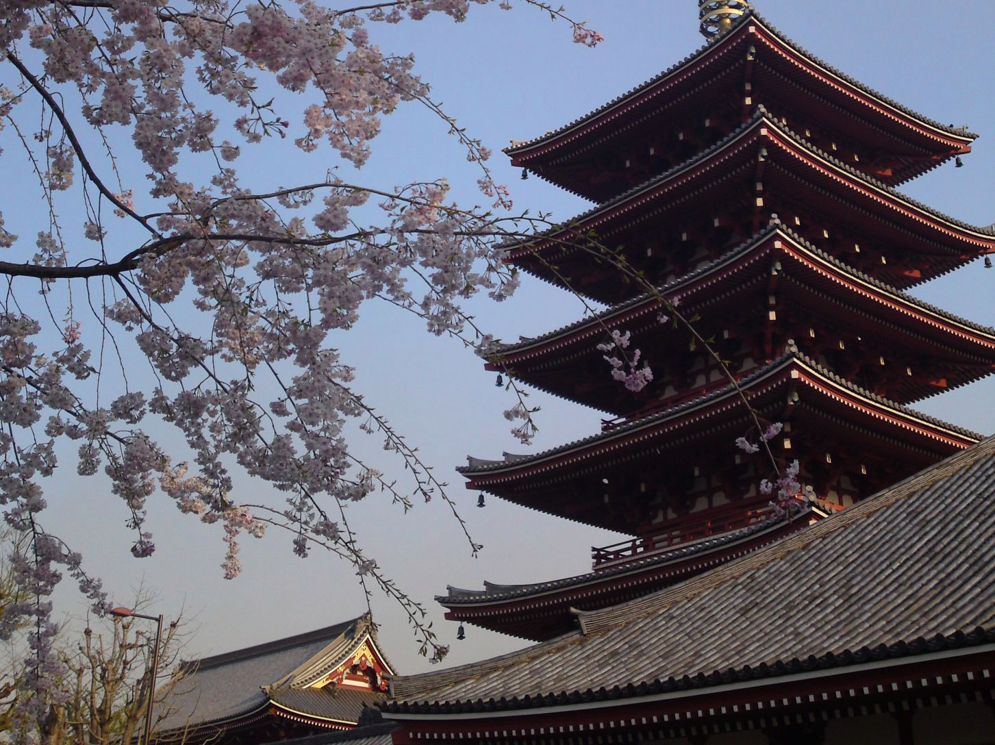 Xperia Z1 Compact vs stare sony ericssony - zaskakujące wyniki fotoporównania 32