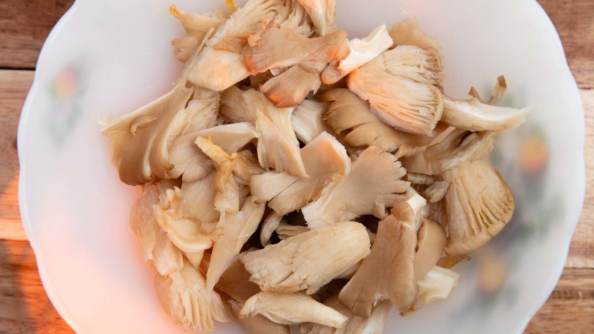 W sklepach znajdziemy różne gatunki boczniaków