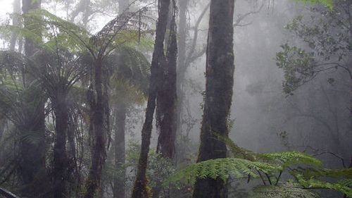 Malezja-film promocyjny 1