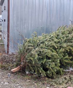 Wyrzuciła choinkę przez balkon. Ranna sąsiadka